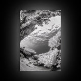 Coral Reef Underwater, Ocean Photography, Marine Nature Scene, Framed Canvas Print, Bathroom Wall Art, Coastal Minimalist Decor