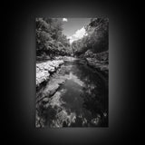 River Reflection, Nature Calm, Forest Stream, Canvas Print, Black and White Landscape Wall Art, Rustic Bathroom Decor, Tranquil Home Vibe
