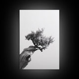 Bonsai Tree, Windswept Wood, Minimal Zen, Canvas Print, Japanese Style Art, Wabi Sabi Decor, Monochrome Botanical Wall Accent