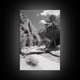 Desert Oasis, Palm Trees, Canyon Trail, Framed Canvas Print, Nature Photography Art, Warm Boho Wall Decor, Rustic Entryway Accent