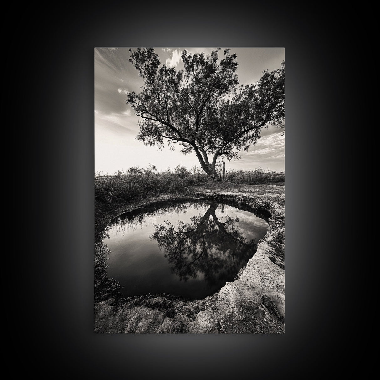 Tree Reflection, Still Water, Peaceful Nature, Framed Canvas Print, Tranquil Wall Art, Rustic Bedroom Decor, Black and White Photography