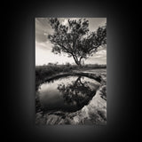Tree Reflection, Still Water, Peaceful Nature, Framed Canvas Print, Tranquil Wall Art, Rustic Bedroom Decor, Black and White Photography