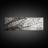 Macro Insect Wing, Abstract Nature Texture, Modern Neutral Wall Decor, Framed Canvas Print, Office Art, Monochrome Macro Photography