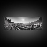Coastal Driftwood Scene, Rugged Ocean Beach, Moody Nature Landscape, Framed Canvas Print, Rustic Wall Decor, Fall Coastal Photography