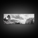 Ocean Cliff, Pine Trees, Foggy Coast, Canvas Print, Dramatic Nature Wall Art, Rustic Cabin Decor, Black and White Landscape