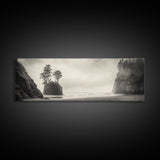 Foggy Beach, Coastal Pines, Ocean Cliffside, Nature Escape, Framed Canvas Print, Moody Wall Art, Living Room Decor, Pacific Northwest Style