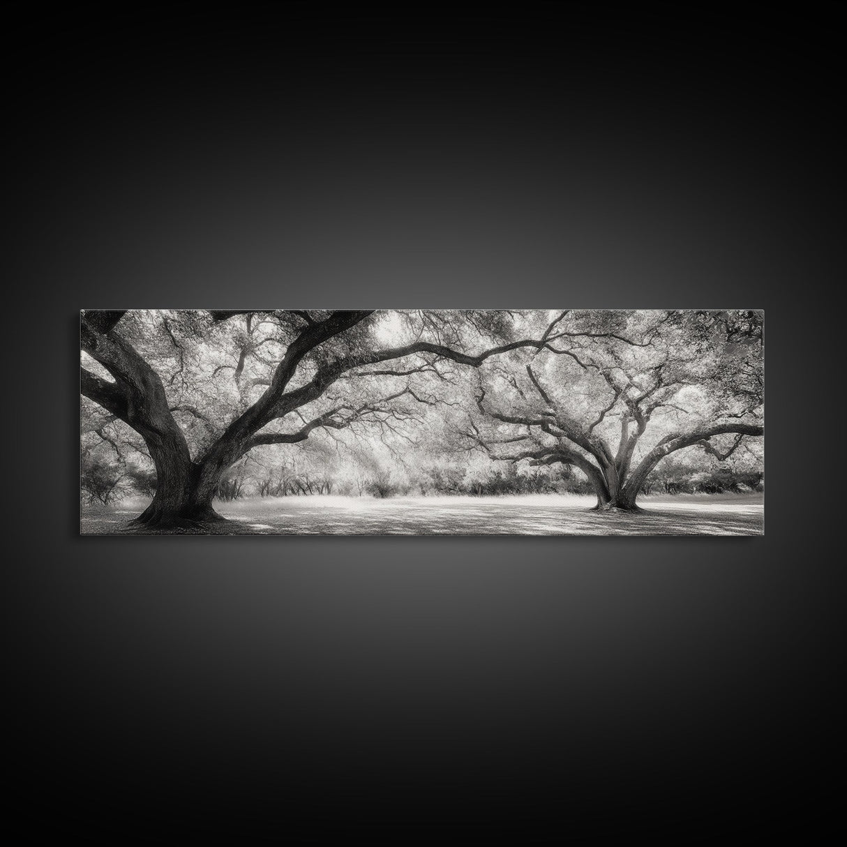 Sprawling Trees, Oak Forest, Sunlit Canopy, Majestic Branches, Canvas Print, Nature Wall Art, Boho Decor, Living Room Statement Piece