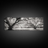 Sprawling Trees, Oak Forest, Sunlit Canopy, Majestic Branches, Canvas Print, Nature Wall Art, Boho Decor, Living Room Statement Piece