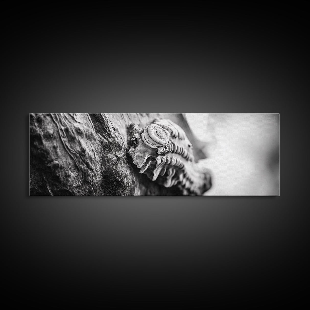 Tree Fungus, Natural Texture, Close-Up Growth, Wood Grain, Framed Canvas Print, Nature Wall Art, Boho Bedroom Decor, Botanical Print