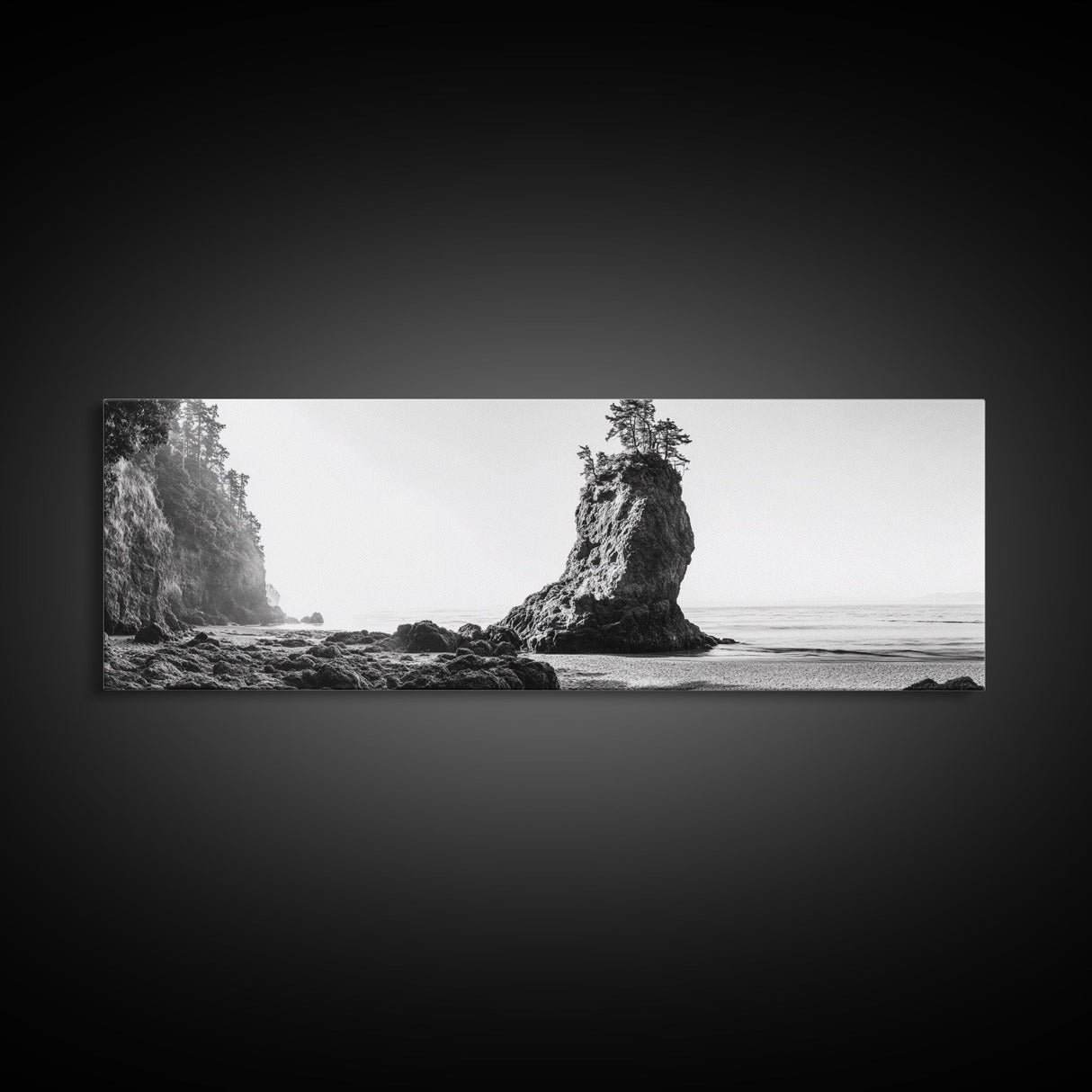 Sea Stack, Rugged Coast, Ocean Cliffside, Framed Canvas Print, Coastal landscape, Nature photography, Office wall art, Monochrome design