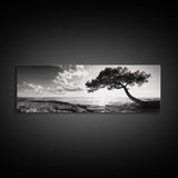 Lone Tree, Coastal Sunset, Ocean Horizon, Framed Canvas Print, Tranquil Landscape Art, Meditation Room Wall Art, Nature Zen Decor