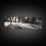 Sunrays Meadow, Tree Light, Golden Hour, Framed Canvas Print, Fall Living Room Art, Rustic Nature Decor, Warm Toned Landscape