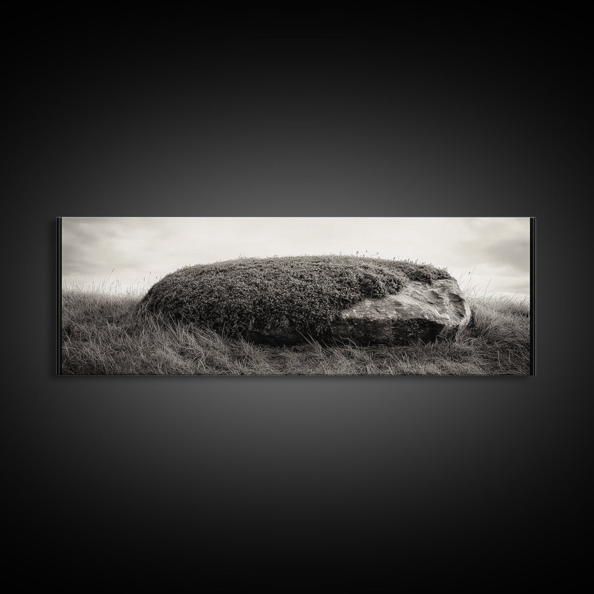 Heather Rock, Grassy Field, Natural Simplicity, Earthy Tones, Canvas Print, Rustic Home Decor, Minimalist Nature Wall Art, Fall Inspired Art