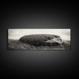 Heather Rock, Grassy Field, Natural Simplicity, Earthy Tones, Canvas Print, Rustic Home Decor, Minimalist Nature Wall Art, Fall Inspired Art
