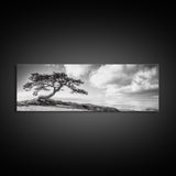 Windswept Tree, Coastal Nature, Ocean Cliff View, Framed Canvas Print, Zen Wall Art, Minimalist Decor, Calm Living Room Accent
