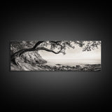 Tree By The Sea, Ocean Cliff, Black And White Nature, Framed Canvas Print, Coastal Wall Decor, Minimalist Art, Tranquil Bedroom Print