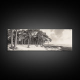 Pine Forest Coast, Tranquil Wilderness, Shoreline Trees, Earthy Coastal Scene, Framed Canvas Print, Rustic Wall Art, Autumn Cabin Decor