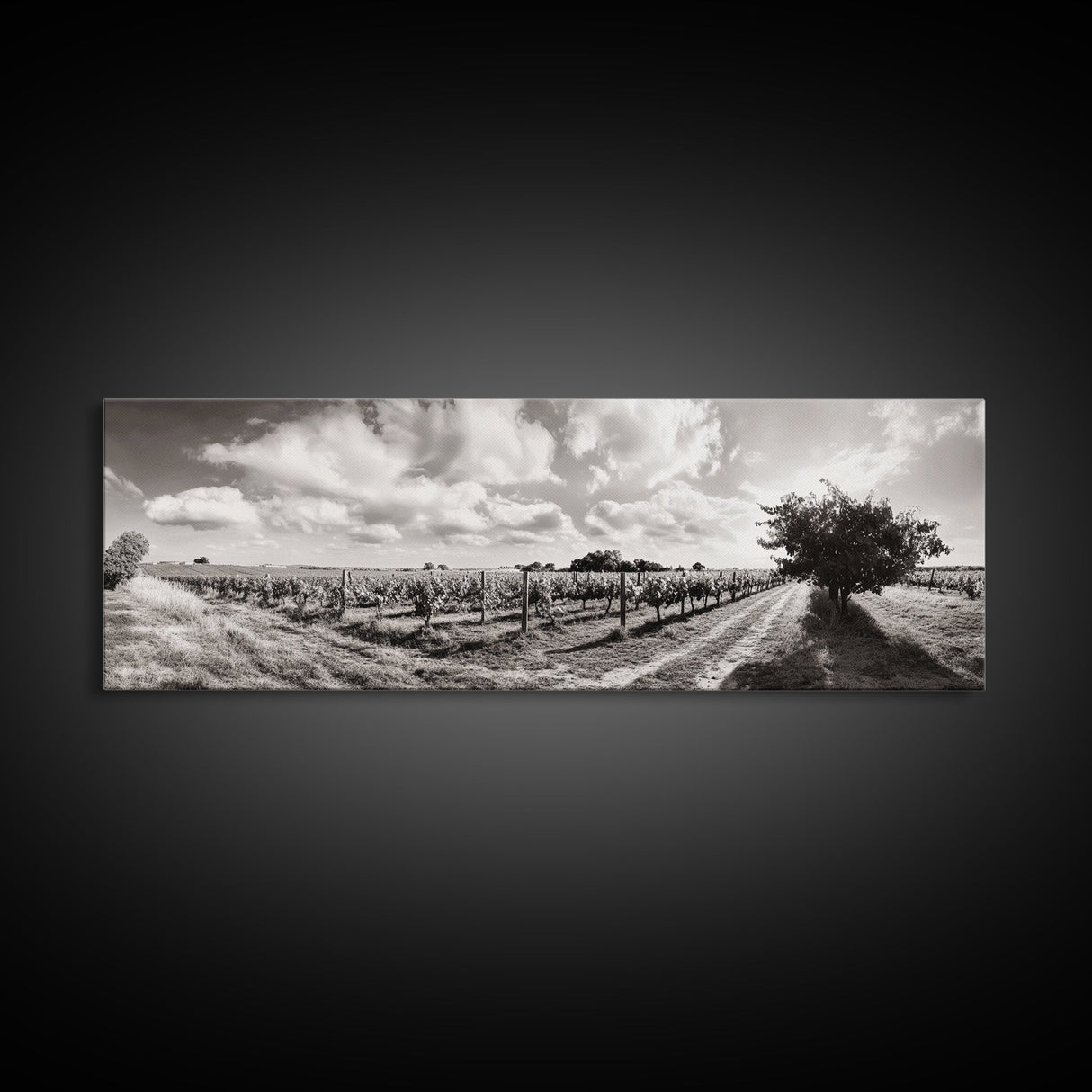 Vineyard Rows, Sunny Fields, Cloudy Sky, Canvas Print, Rustic Country Decor, Dining Room Wall Art, Wine Country Landscape, Farmhouse Style