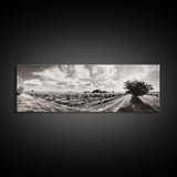 Vineyard Rows, Sunny Fields, Cloudy Sky, Canvas Print, Rustic Country Decor, Dining Room Wall Art, Wine Country Landscape, Farmhouse Style