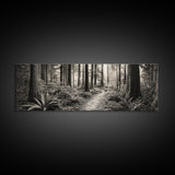 Redwood Forest, Nature Path, Fern Understory, Framed Canvas Print, Moody Nature Photography, Office Wall Art, Forest Bathing Vibes
