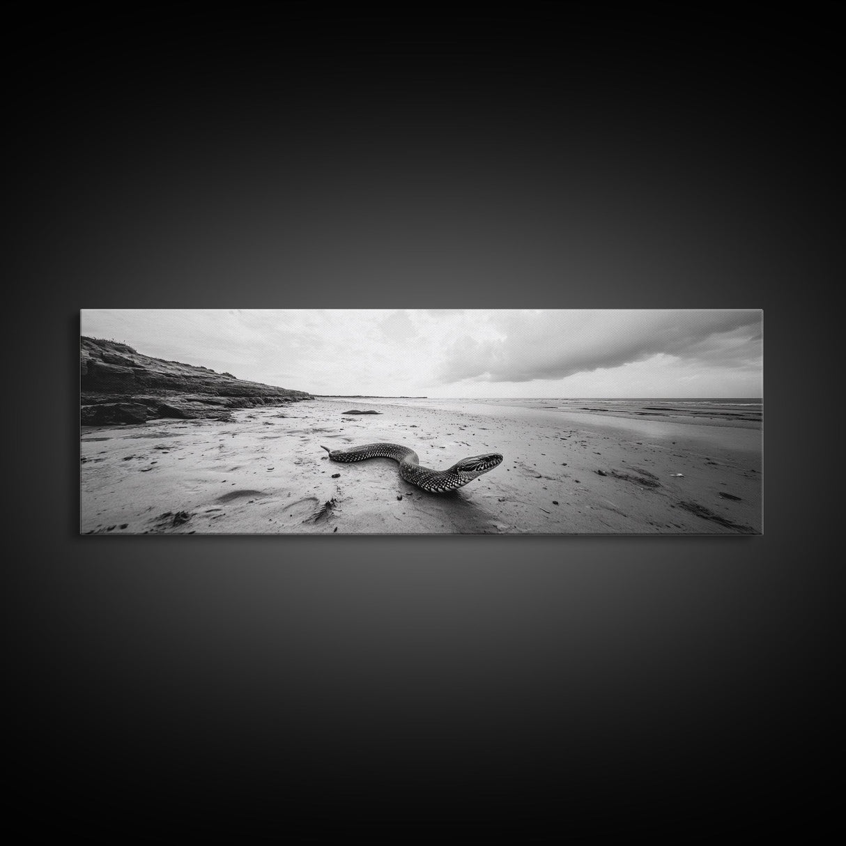 Snake On Beach, Coastal Wildlife, Dramatic Black and White, Framed Canvas Print, Nature Wall Art, Minimalist Decor, Office Statement Art