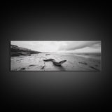 Snake On Beach, Coastal Wildlife, Dramatic Black and White, Framed Canvas Print, Nature Wall Art, Minimalist Decor, Office Statement Art