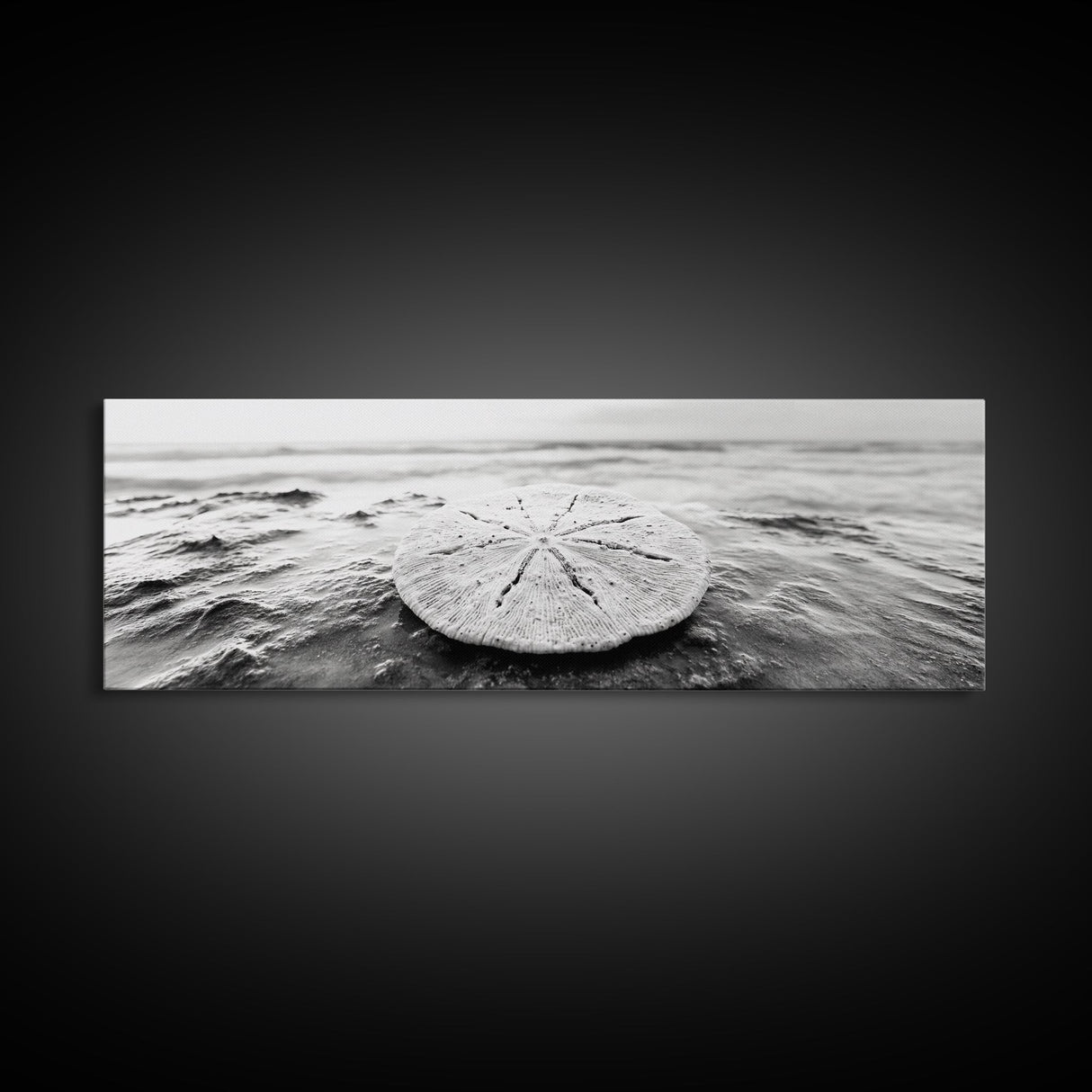Sand Dollar, Ocean Shore, Calm Waters, Canvas Print, Coastal Wall Art, Minimalist Bathroom Decor, Seashell Beach Photography