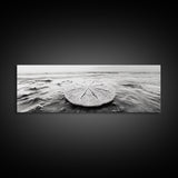 Sand Dollar, Ocean Shore, Calm Waters, Canvas Print, Coastal Wall Art, Minimalist Bathroom Decor, Seashell Beach Photography
