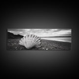 Shell on Shore, Monochrome Coastal, Canvas Print, Boho Wall Art, Bathroom Wall Decor, Natural Beach Aesthetic, Ocean Inspired Art