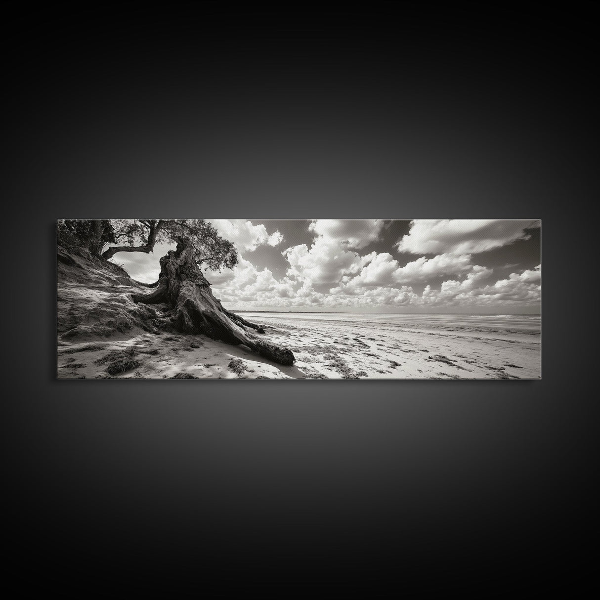 Coastal Tree Roots, Windswept Beach, Natural Form, Framed Canvas Print, Boho Wall Art, Entryway Decor, Beach House Aesthetic
