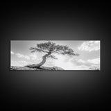 Lone Curved Tree, Zen Nature Print, Minimalist Landscape, Calming Decor, Framed Canvas Print, Bedroom Wall Statement