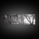 Forest Path, Tree Tunnel, Light Shadows, Woodland Magic, Framed Canvas Print, Nature Lover Gift, Entryway Wall Art, Modern Rustic Style