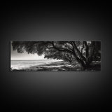 Ocean Trees, Shoreline Light, Majestic Forest, Beach Scene, Framed Canvas Print, Boho Wall Decor, Bedroom Art, Zen Coastal Artwork