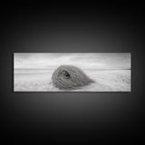 Tumbleweed Nest, Desert Beach, Natural Sculpture, Coastal Simplicity, Canvas Print, Modern Boho Wall Art, Neutral Home Aesthetic