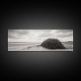 Windswept Dunes, Coastal Brush, Tumbleweed Form, Beach Nature, Framed Canvas Print, Fall Wall Art, Rustic Decor, Neutral Bedroom Style