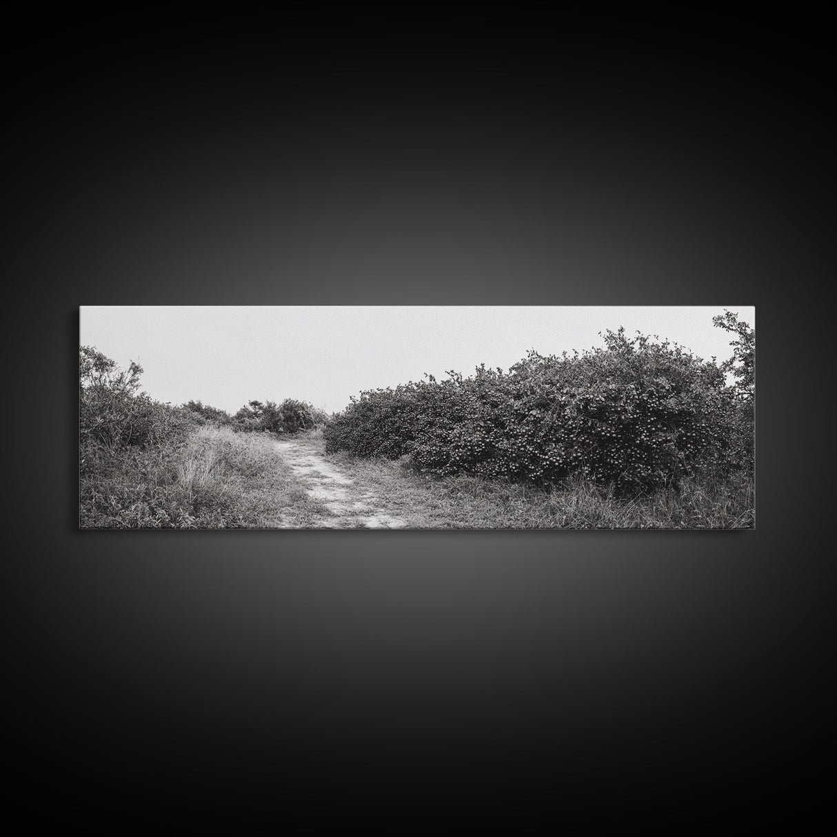 Wild Apple Path, Nature Overgrowth, Autumn Orchard Trail, Canvas Print, Fall Farmhouse Kitchen Art, Rustic Seasonal Wall Decor