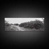 Wild Apple Path, Nature Overgrowth, Autumn Orchard Trail, Canvas Print, Fall Farmhouse Kitchen Art, Rustic Seasonal Wall Decor
