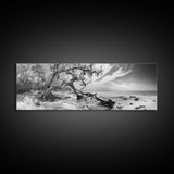 Bending Tree Beach, Windswept Coastal Scene, Dune Forest, Canvas Print, Monochrome Minimalist Art, Boho Bedroom Decor, Ocean Tones