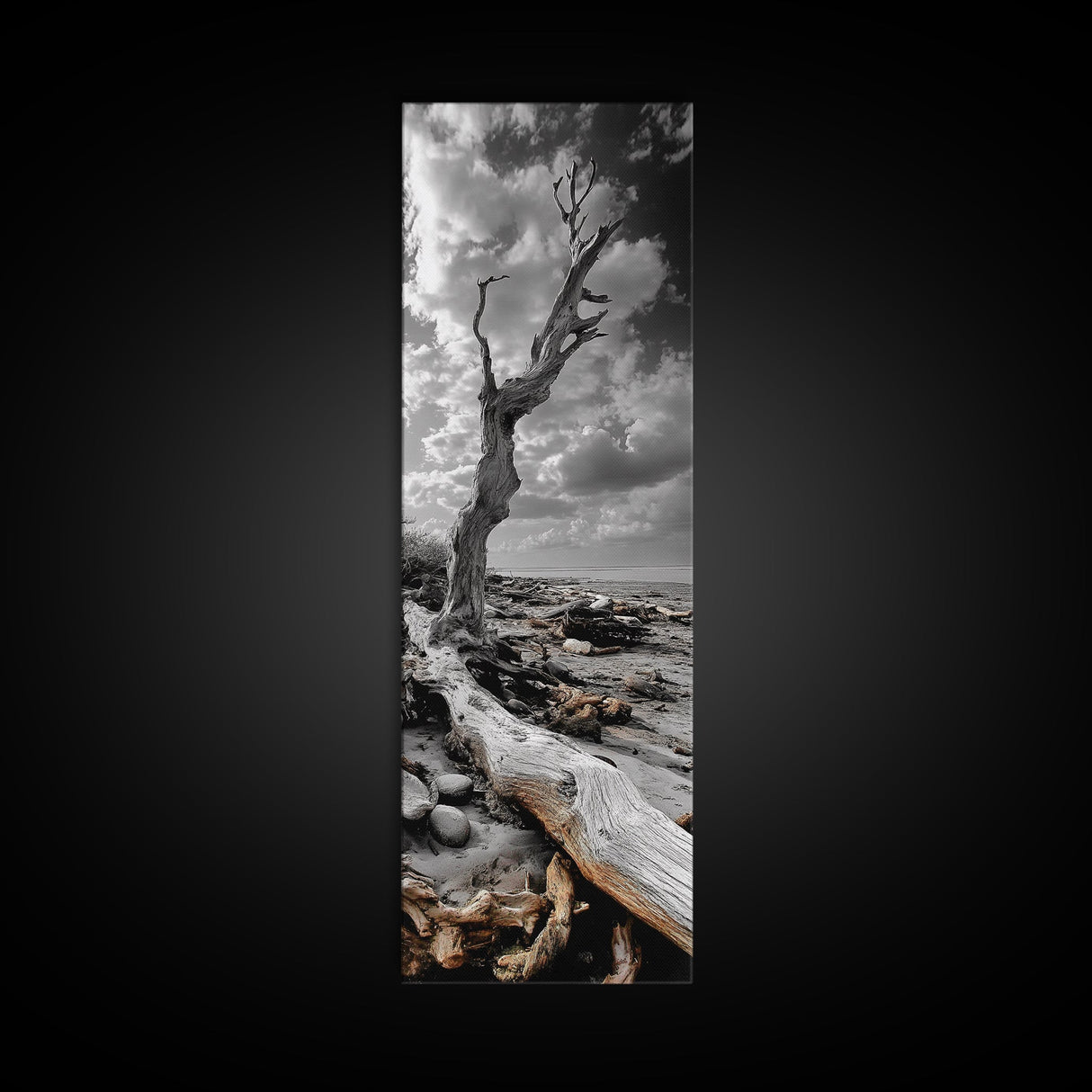 Weathered Tree, Coastal Roots, Dramatic Sky, Natural Form – Canvas Print, Living Room Wall Art, Monochrome Photography, Driftwood Decor