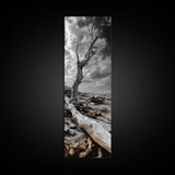 Weathered Tree, Coastal Roots, Dramatic Sky, Natural Form – Canvas Print, Living Room Wall Art, Monochrome Photography, Driftwood Decor