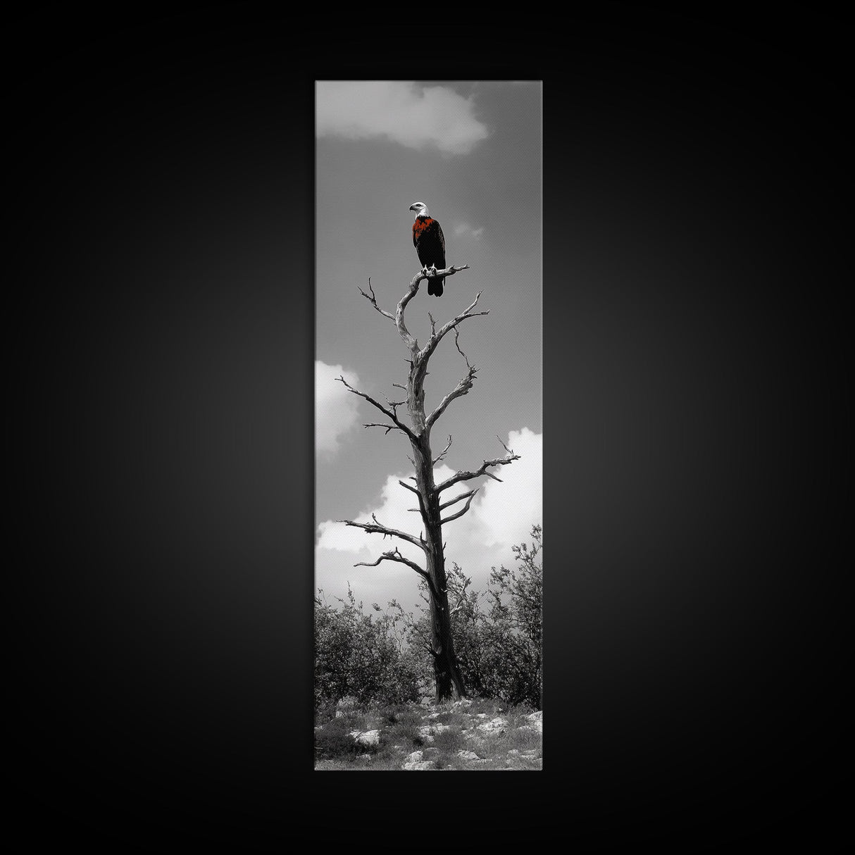 Lone Eagle, Tree Perch, Wild Raptor, Fierce Freedom, Canvas Print, Rustic Wildlife Wall Art, Cabin Lodge Decor, Dramatic Nature Scene