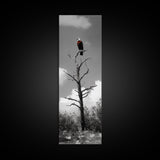 Lone Eagle, Tree Perch, Wild Raptor, Fierce Freedom, Canvas Print, Rustic Wildlife Wall Art, Cabin Lodge Decor, Dramatic Nature Scene