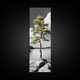Twisted Pine Tree, Nature Serenity, Calm Wilderness, Coastal Forest, Framed Canvas Print Boho Bedroom Wall Art, Earth Tone Decor