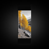 Golden Aspens, Fall Forest, Mountain Trees, Framed Canvas Print, Autumn Wall Art, Nature Cabin Decor, Fall Foliage, Rustic Living Room