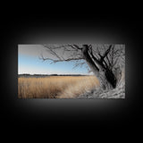 Open Plains, Blue Sky, Rustic Tree, Minimalist Field, Canvas Print, Country Style Wall Art, Farmhouse Hallway Decor, Soft Landscape Mood