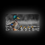 Duck Family, Pond Life, Nature Scene, Wildlife Photography, Canvas Print, Nursery Wall Art, Cute Animal Print, Nature Lover Gift Idea