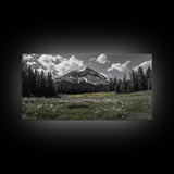Mountain, Meadow, Wildflowers, Alpine meadow bloom and majestic peak on this Framed Canvas Print, serene Nature Wall Art for Entryway