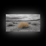 Desert Scene, Tumbleweed Beauty, Arid Landscape, Western Mood, Framed Canvas Print, Neutral Art, Entryway Wall Art, Rustic Home Style