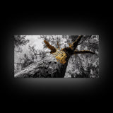 Golden Tree, Nature Upward, Woodland Strength, Forest Energy, Framed Canvas Print, Autumn Wall Art, Minimalist Tree Decor, Nature Print