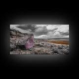 Painted Boulder, Wild Plains, Desert Glow, Framed Canvas Print, Fall Wall Art, Rustic Decor, Southwestern Art, Landscape Photography
